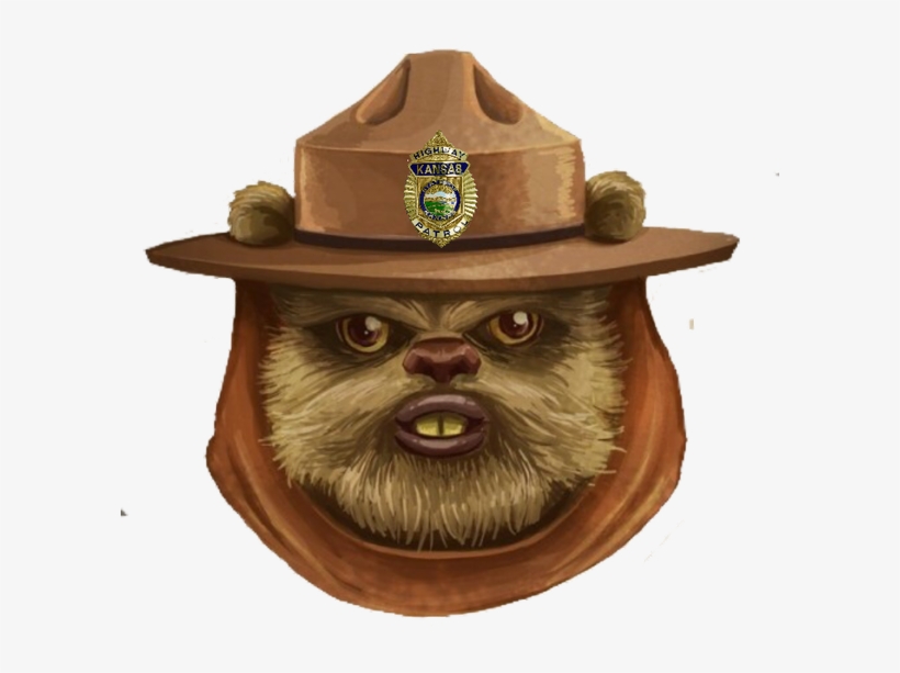 16 Dec - Star Wars Only You Can Prevent Forest Fires, transparent png download