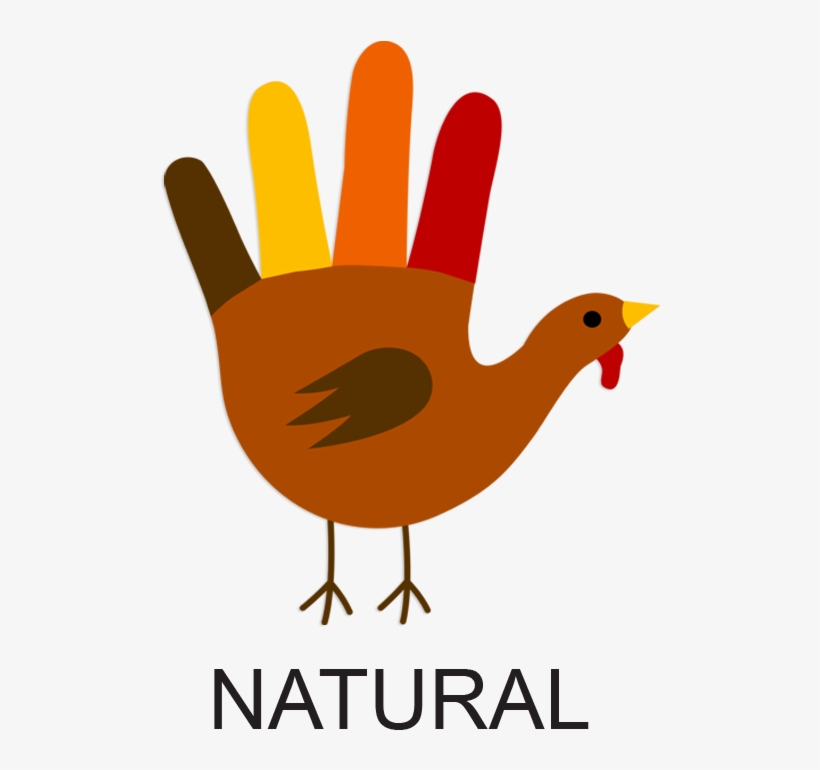 Turkey Buying For The Conscious Consumer - Turkey Made Out Of A Hand, transparent png download