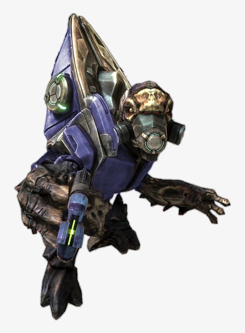 No Caption Provided - Halo Grunt, transparent png download