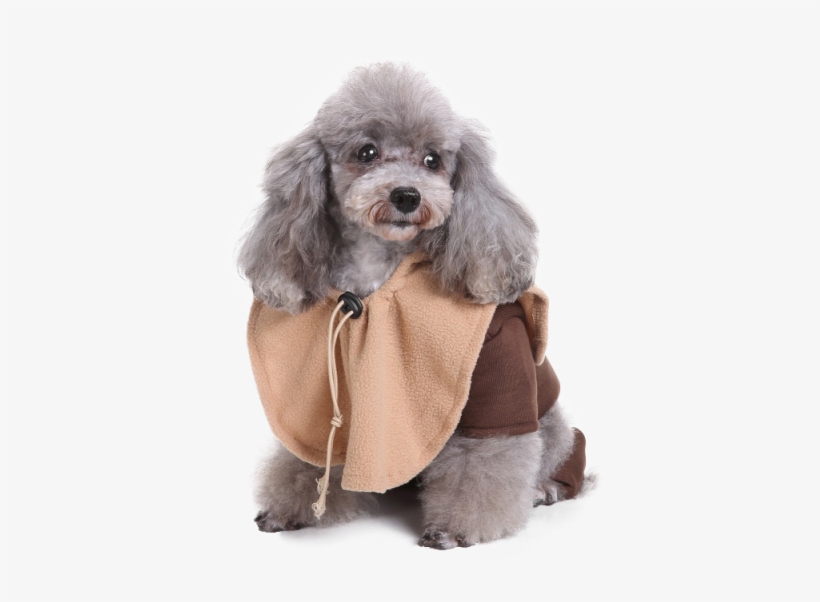 Star Wars Ewok Dog Costume Sc 1 St Pet Threads - Costume, transparent png download