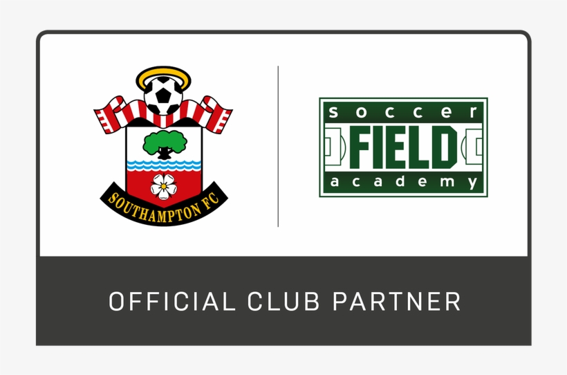 Picture - Southampton F.c., transparent png download