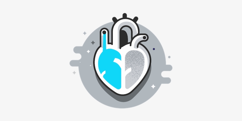 Anatomical Heart Illustration - Wikimedia Commons, transparent png download