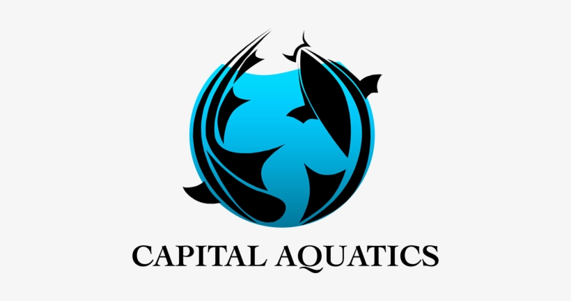 Capital Aquatics Logo - Capital Aquatics, transparent png download