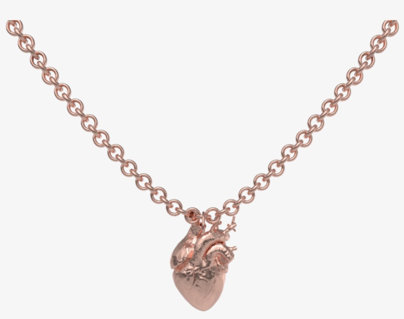 Necklace, transparent png download