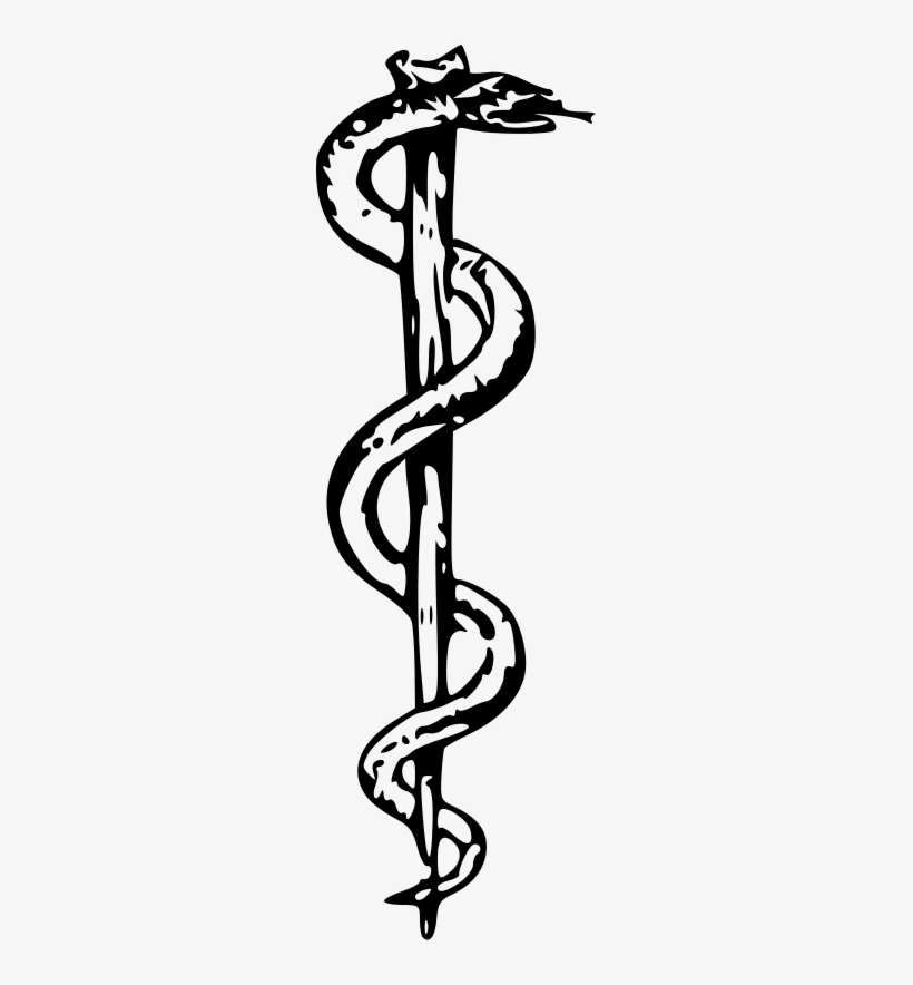 What A Difference A Snake Makes - Rod Of Asclepius, transparent png download
