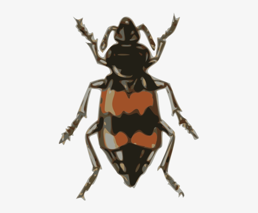 X Marks The Spot, transparent png download