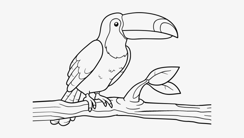 Coloring Book Toucan, transparent png download