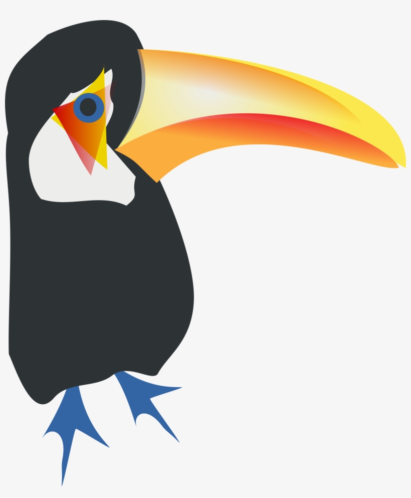 Bird Toco Toucan Parrot Piciformes - Toucan Bird Shower Curtain, transparent png download
