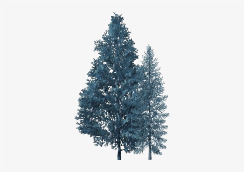Christmas Clipart - Tree, transparent png download