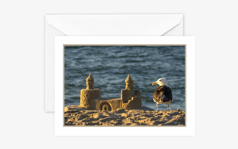 Look, If A Seagull Can Build A Sandcastle, You Can - Gulls, transparent png download