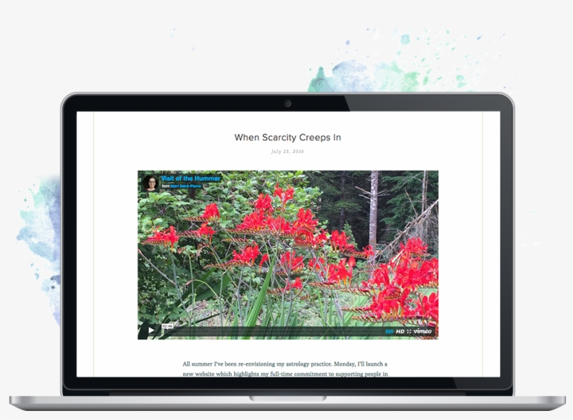 Soul Self Astrology Web 13 - Picture Frame, transparent png download
