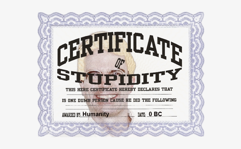 Certificate - Sea Gate Brooklyn Bib, transparent png download