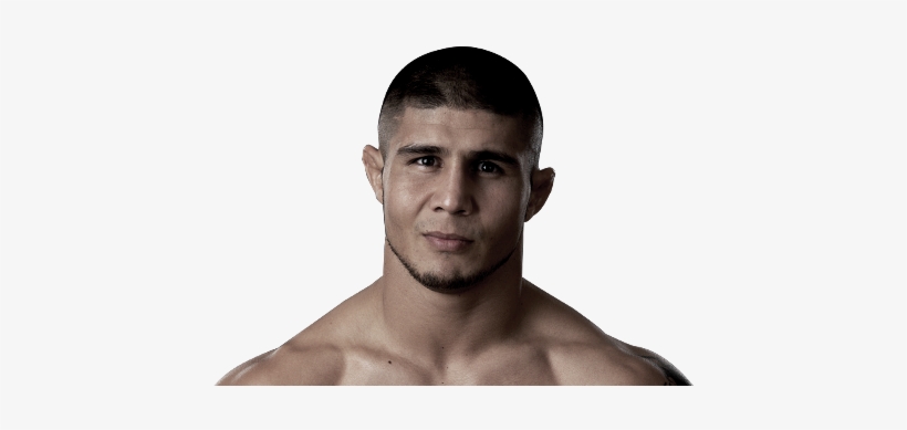 And To You Small Forehead Phaggots Saying It Is More - Joe Stevenson, transparent png download