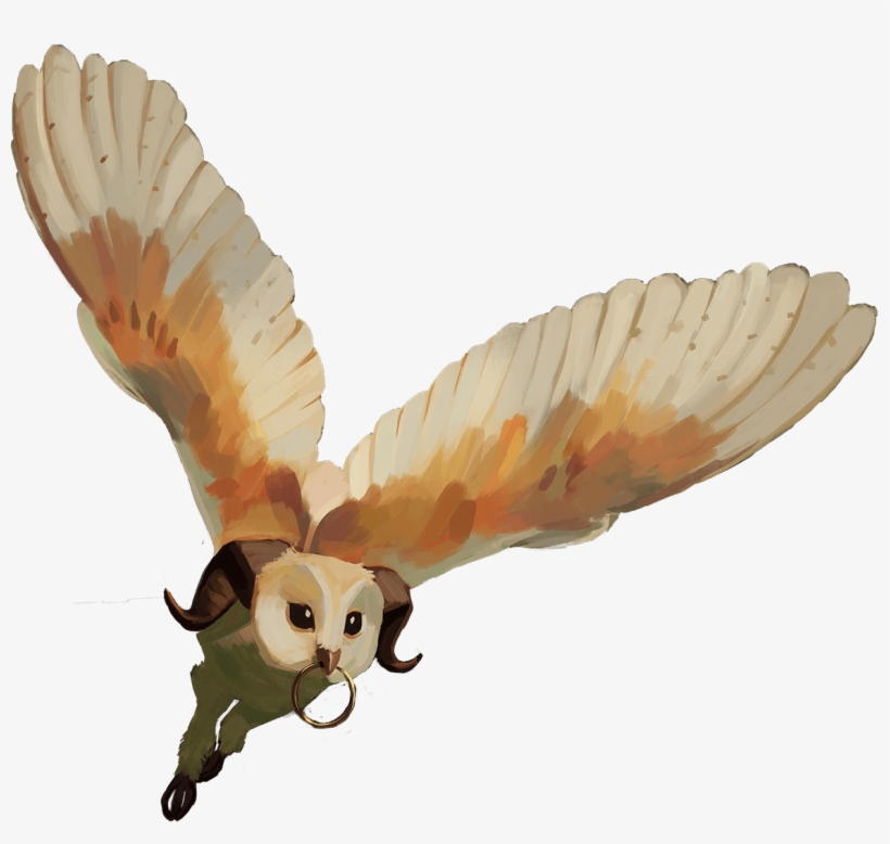 The Saint Peter's Basilica In The Background Was A - Barn Owl, transparent png download