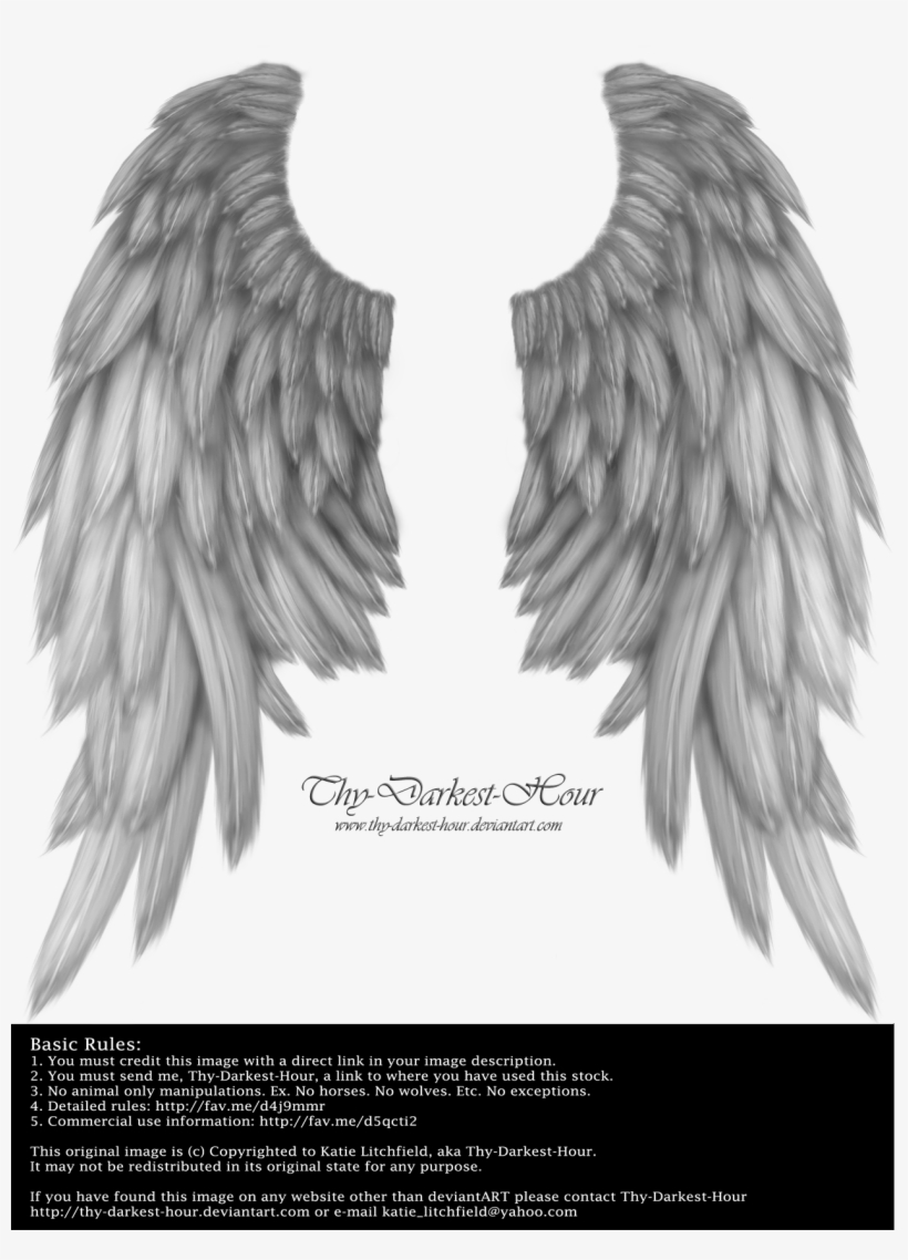 Wings Pngs By Thy Darkest Hour On Clipart Library - Gray Wings, transparent png download