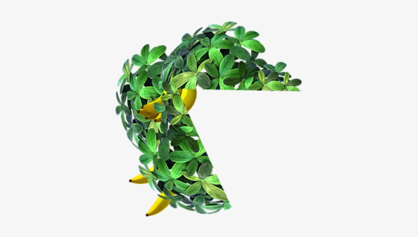 Funky Kong - Donkey Kong Leaves Png, transparent png download