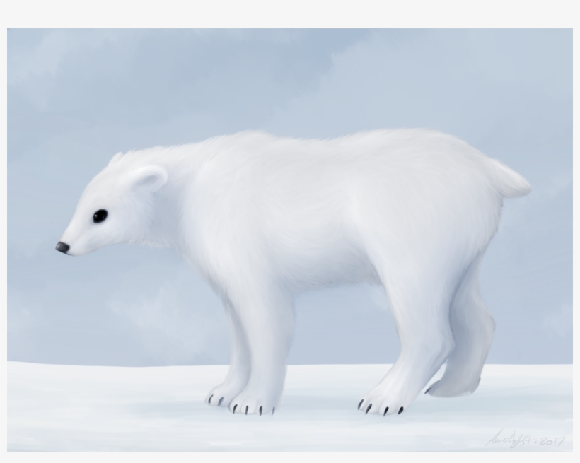 Polar Bear, transparent png download