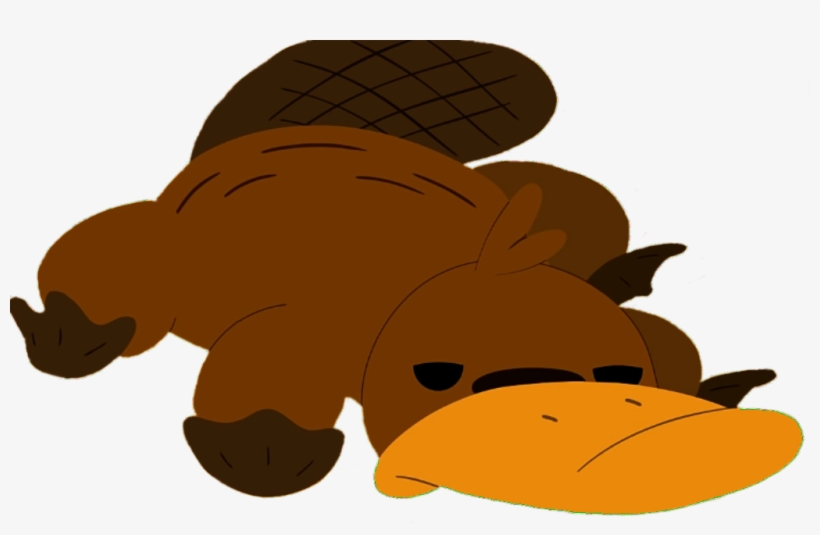 Platypus - Camp Camp Platypus Muack, transparent png download