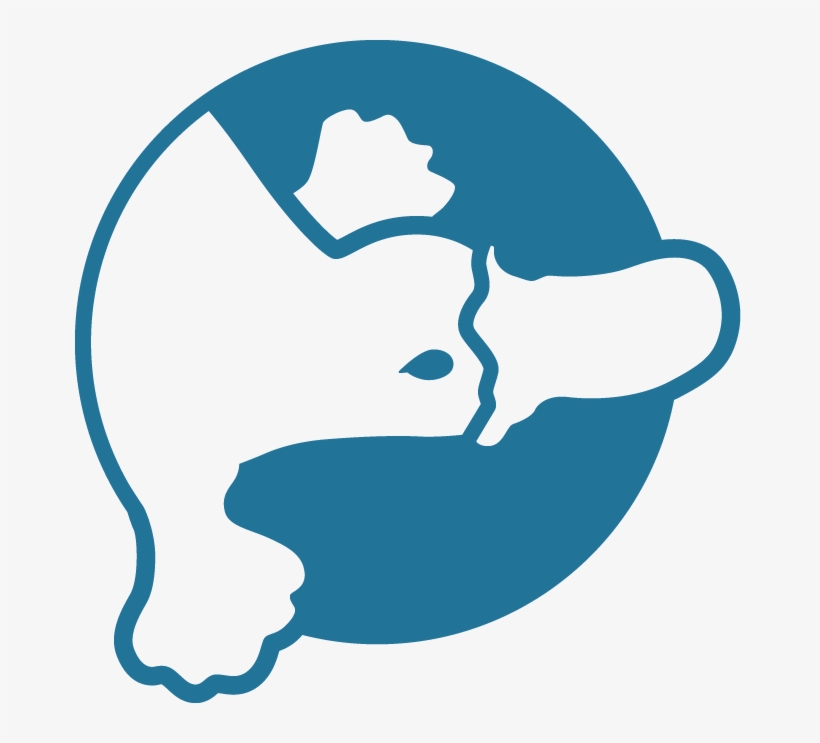 Platypus Technologies Platypus Technologies - Platypus Technologies, Llc, transparent png download