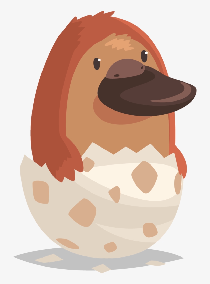 Website Banner Platypus-01, transparent png download