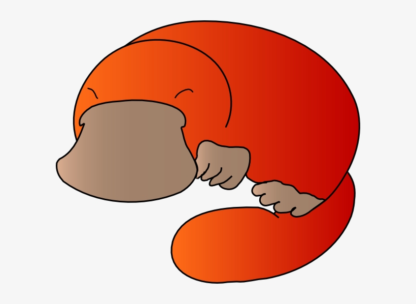 Orange Platypus, transparent png download