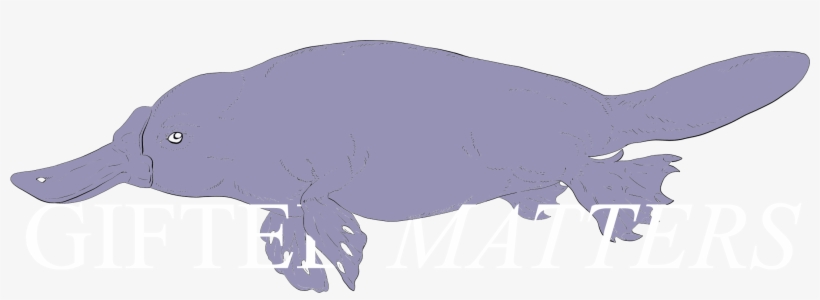 Hippopotamus, transparent png download
