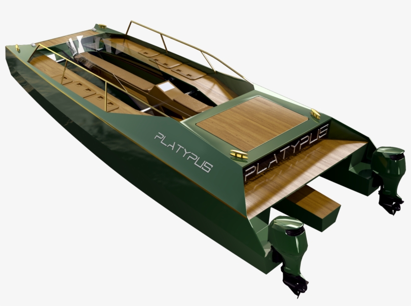 Platypus Craft Vert - Craft Vert, transparent png download