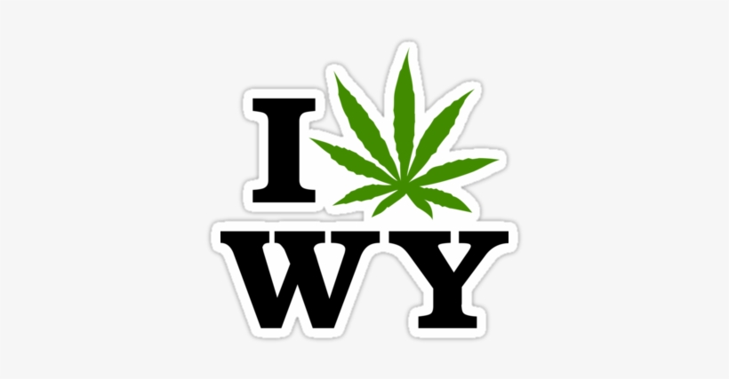 After College, I Got A Job In Houston, The "other Side - Washington Weed, transparent png download