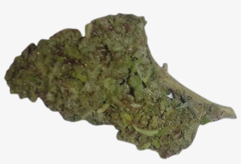 Our Menu - Moss, transparent png download