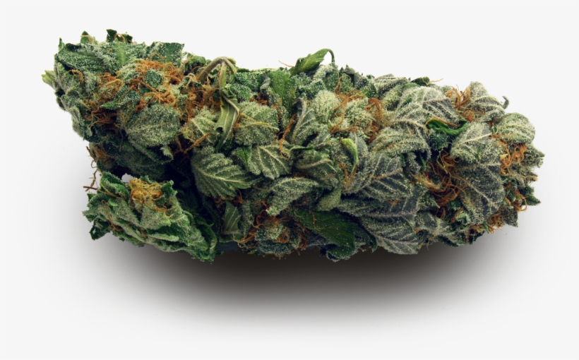 I M Too High For This Shit, transparent png download