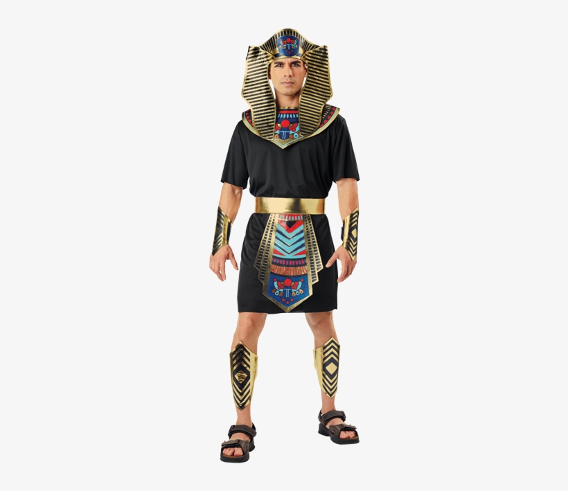 Adult Mens - Pharaoh Costume, transparent png download