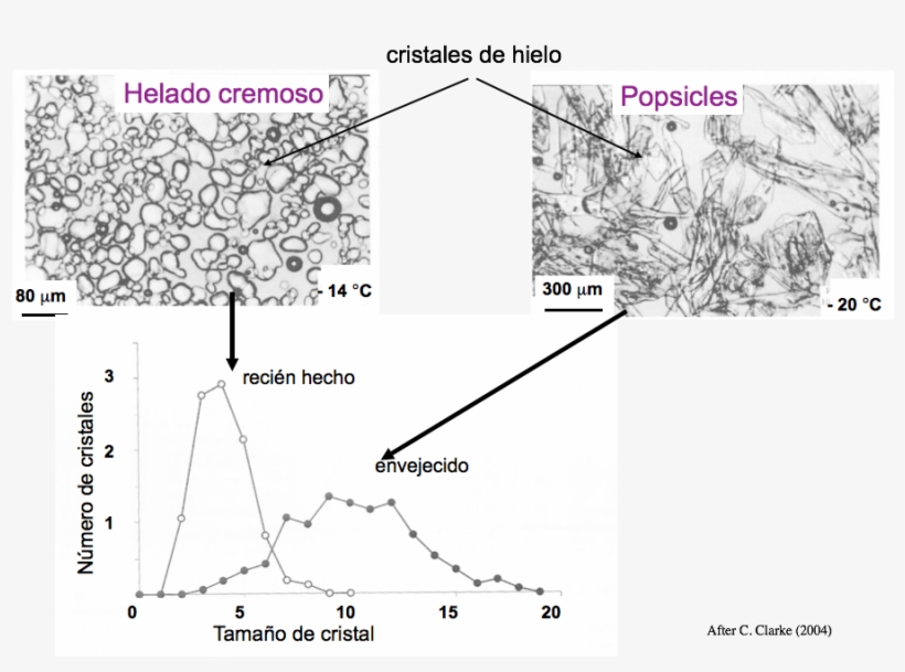 When An Ice Cream Is Not Conserved Adequately, The - Crystallization In Foods By Richard W. Hartel, transparent png download