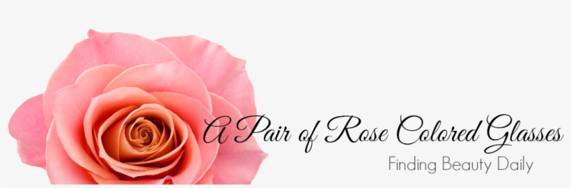 Elegante Hübsche Blume Der Vintagen Rosa Rose Postkarte, transparent png download