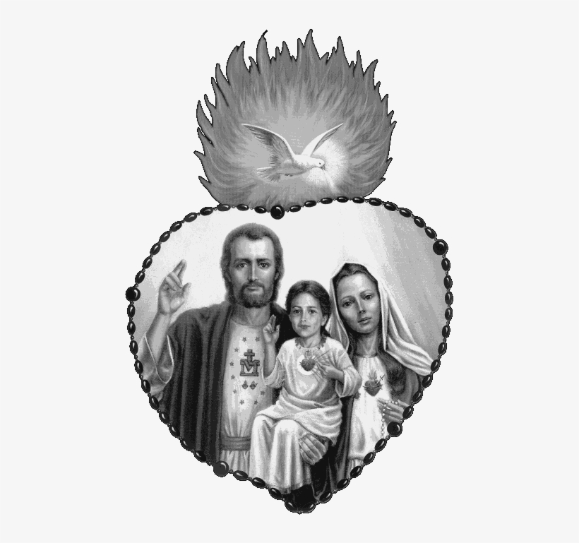 Insert Your Own - Apostolate's Family Catechism [book], transparent png download