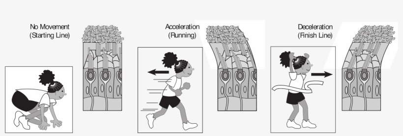 This Free Icons Png Design Of Kids Running With Muscle, transparent png download