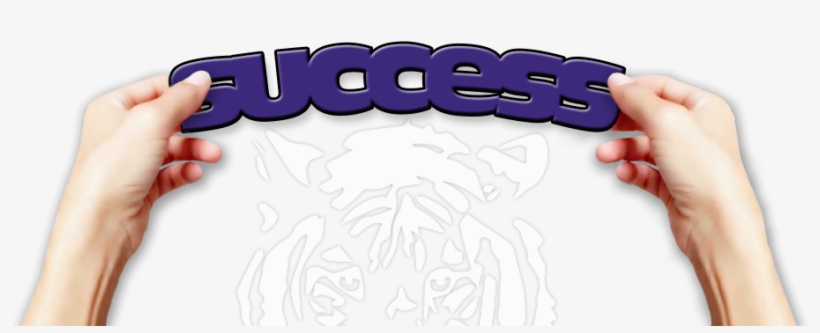 Success At Hope Online High School For Arizona Online - 64gb Strontium Nitro Plus Micro Sd, transparent png download
