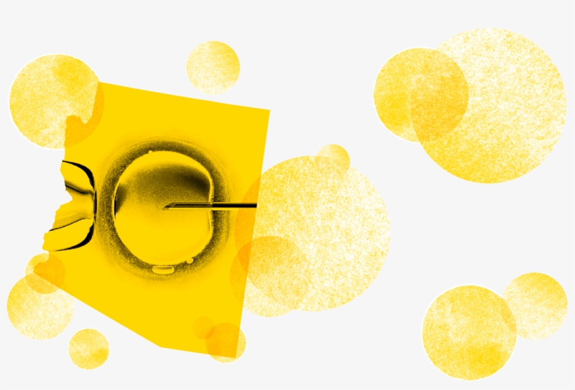 Arizona Law Says Your Ex Can Make Babies With Your - Circle, transparent png download