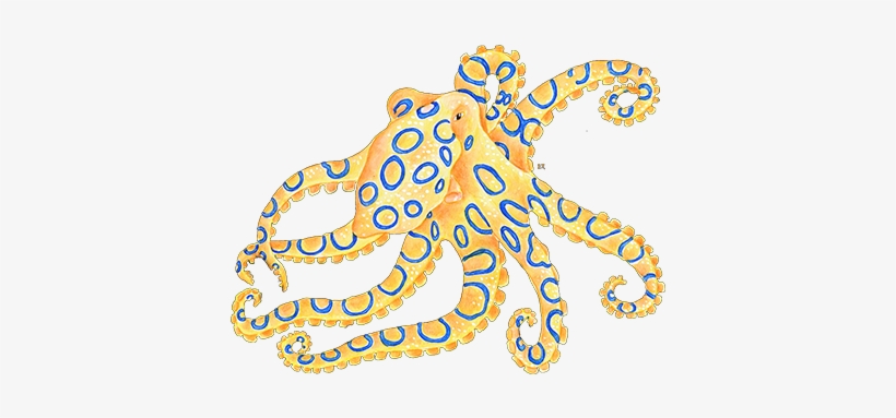 Blue Ring Octopus Yellow Pillow Case, transparent png download
