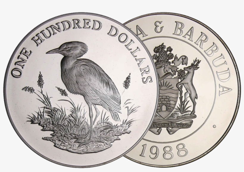 Antigua And Barbuda, 100 Dollars, Cattle Egret, 1988,, transparent png download