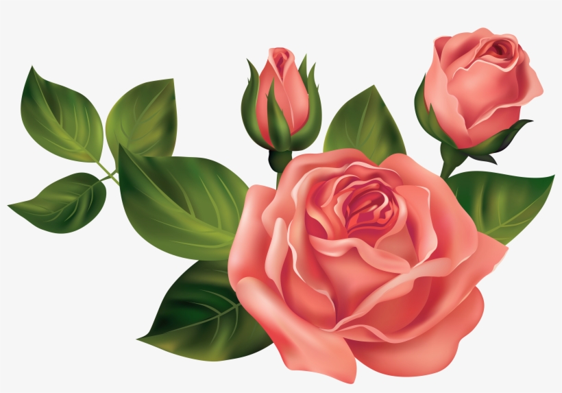 Transparent Roses Png Clipart Picture - Transparent Roses, transparent png download