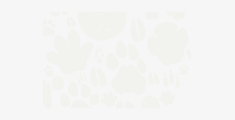 Environmental Protection, transparent png download