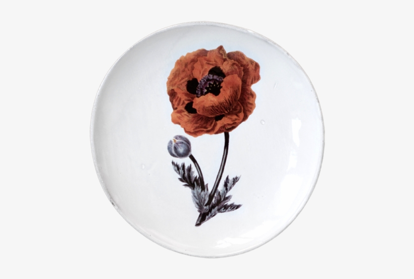 Eastern Poppy Flower Dinner Plate - Giclee Print: Gardener's Delight Art Print By Sydenham, transparent png download