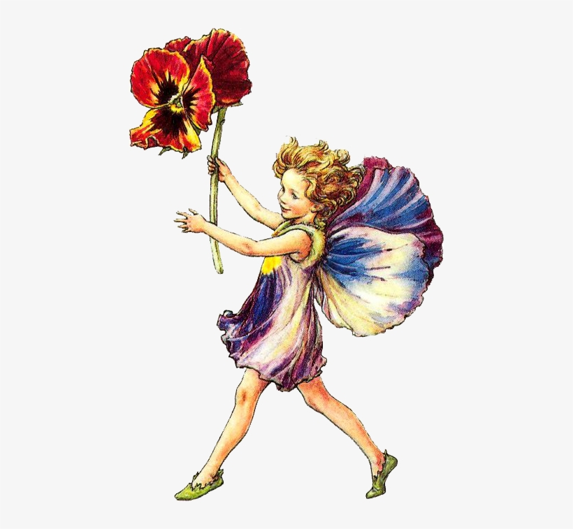 Fairy Png Clipart - Flower Fairy Alphabet A By Cicely Mary Barker, transparent png download