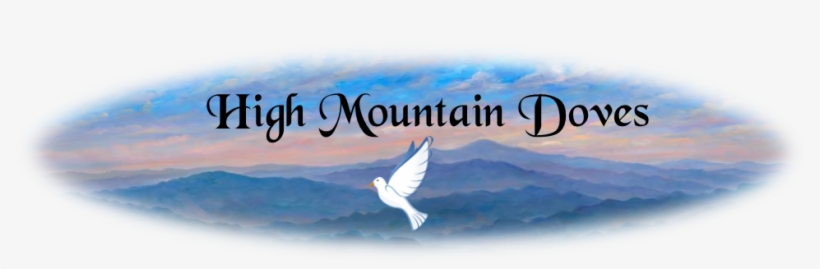 White Dove Release In Western North Carolina - Up Moses Mountain: One Man's Search For Spiritual Truth, transparent png download
