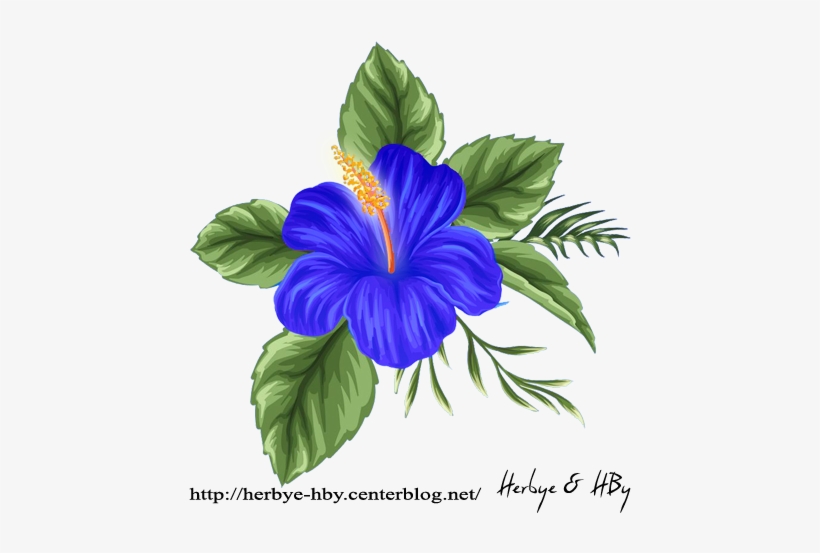 Flowers Png Hibiscus Série - Painting, transparent png download