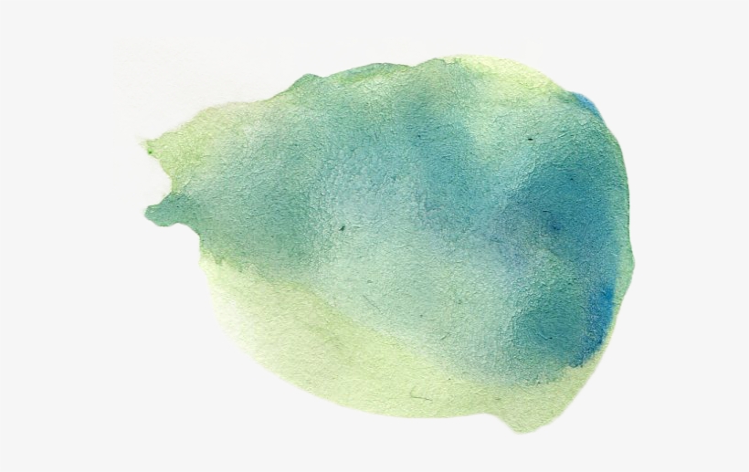 Be A Part Of The Wind Rose Family - Chlorophyta, transparent png download