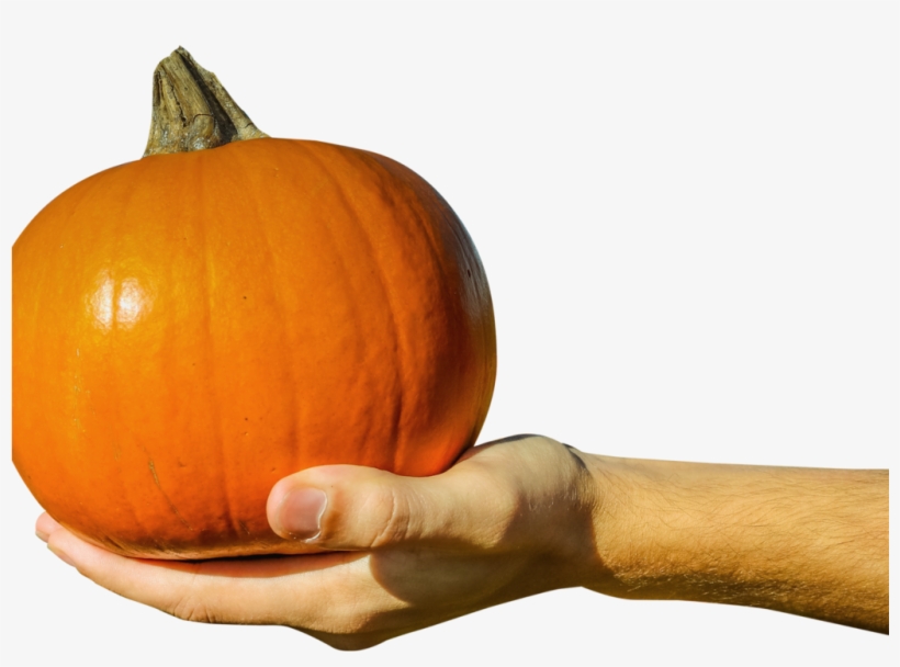 Hand Holding Orange Pumpkin Png Image - Hand Holding A Pumpkin, transparent png download