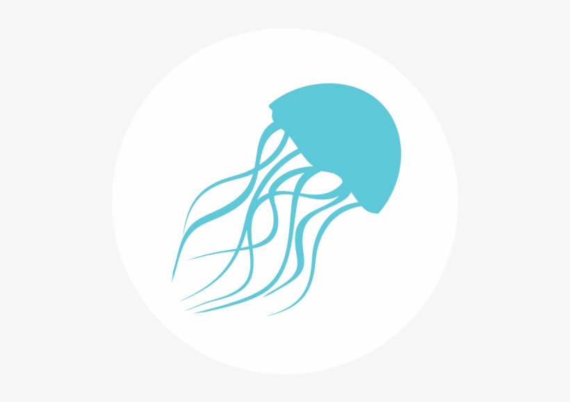 The Jellyfish App - Jellyfish Logo, transparent png download