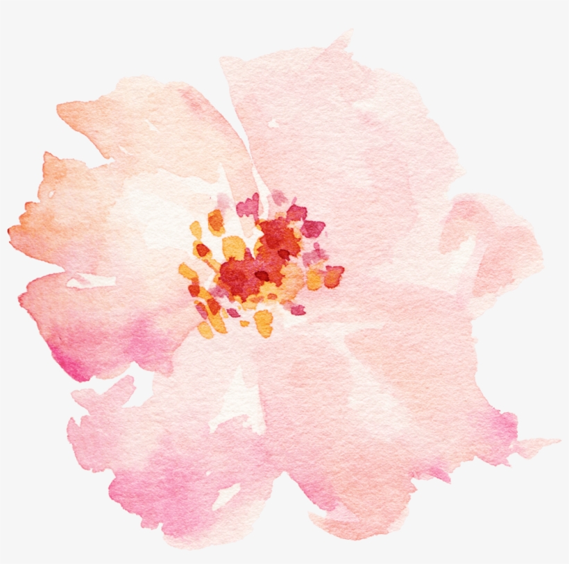 Categories - Watercolor Painting, transparent png download