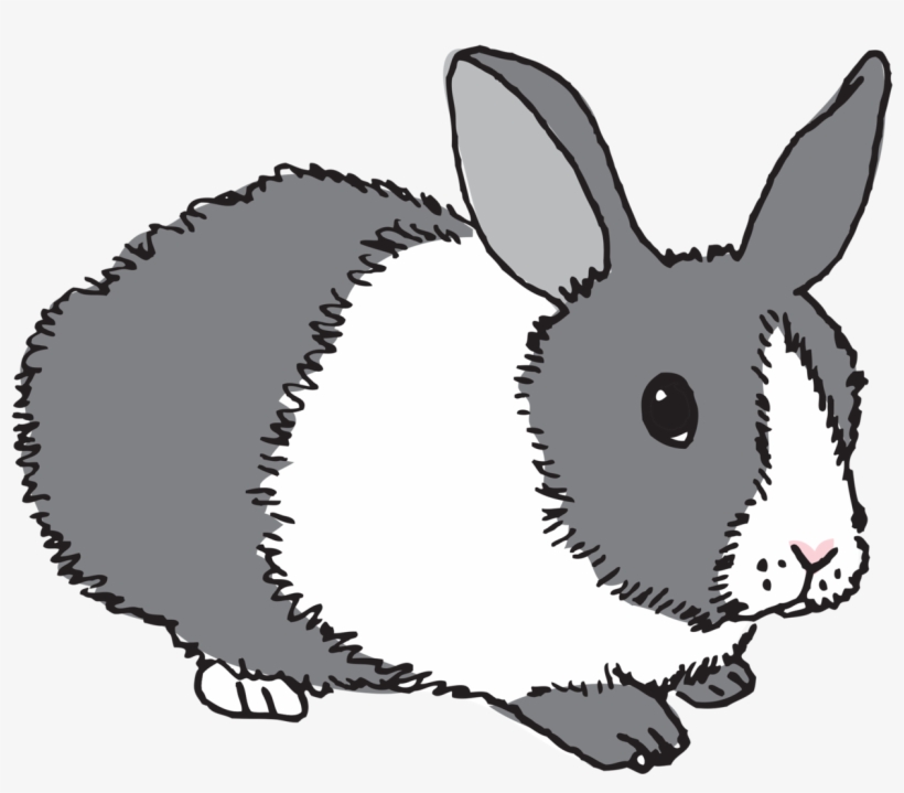 Bunny - Tattly, transparent png download